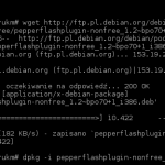 Flash nie działa w Chromium? Zainstaluj Pepper Flash Player